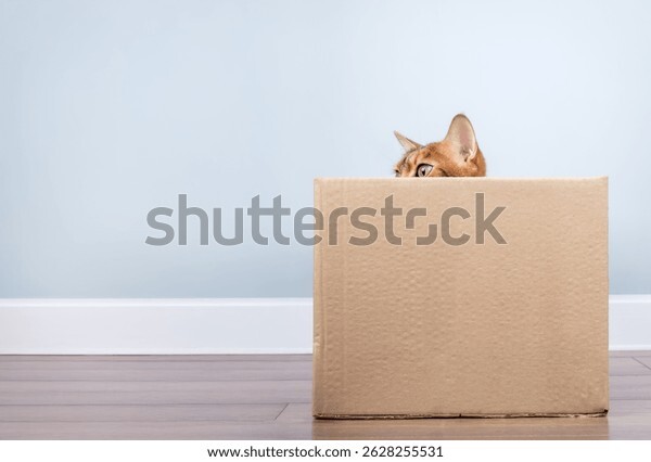 <b>瓦楞纸箱定制生产</b>